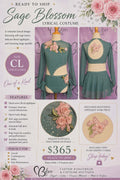 Custom Garden Paradise Lyrical Costume Size CL